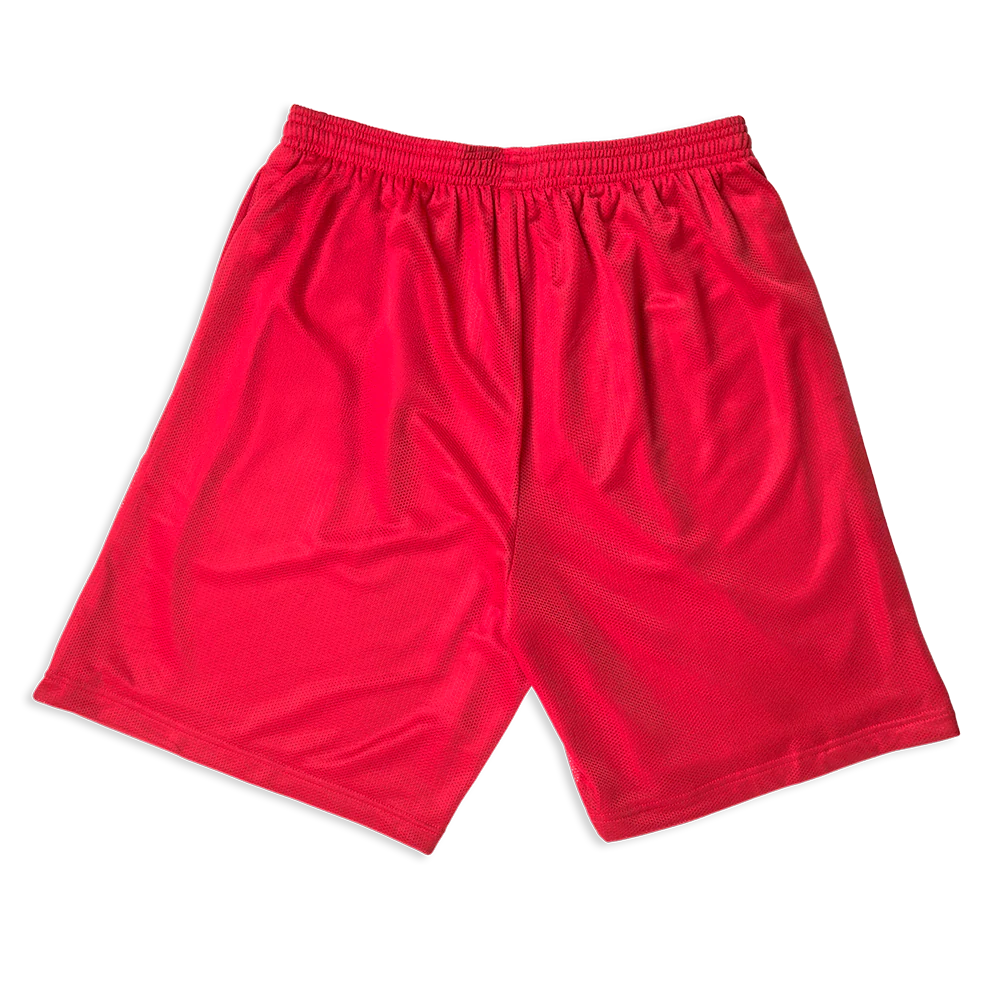 HIT ME HARD MESH SHORTS - Image 5